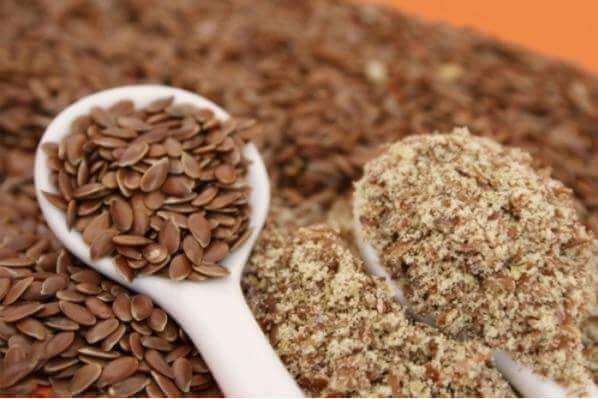 You are currently viewing Health Benefits of Flax Seeds (Alsi) for Weight Loss