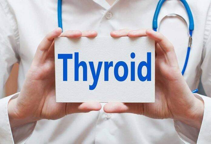 You are currently viewing Weightloss in Thyroid for Women under Age 40
